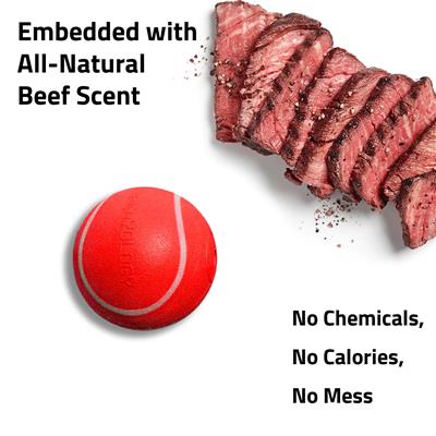 SQUEAKY CHEW BALL BEEF MD