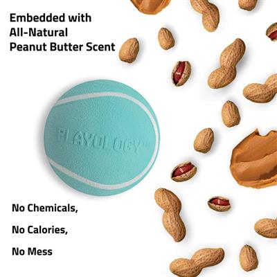 SQUEAKY CHEW BALL PEANUT BUTTER JUMBO