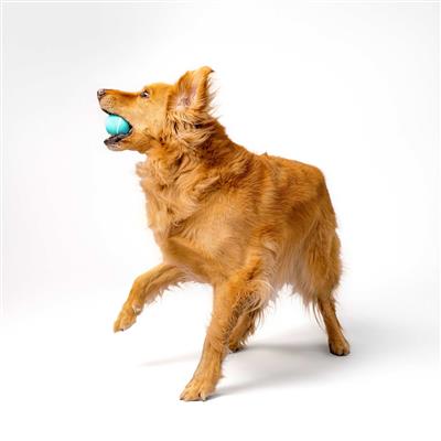 SQUEAKY CHEW BALL PEANUT BUTTER MD