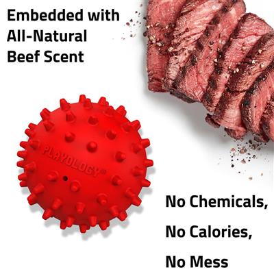 SPIKY SQUEAKY CHEW BALL BEEF - MD