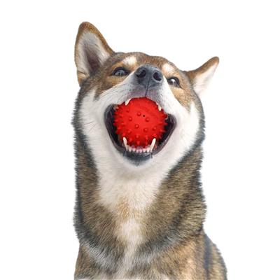 SPIKY SQUEAKY CHEW BALL BEEF - MD