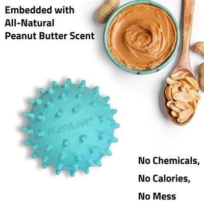 SPIKY SQUEAKY CHEW BALL PEANUT BUTTER MD