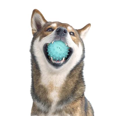 SPIKY SQUEAKY CHEW BALL PEANUT BUTTER MD