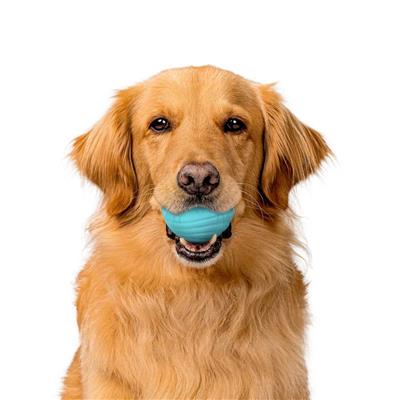 DUAL LAYER BALL PEANUT BUTTER JUMBO