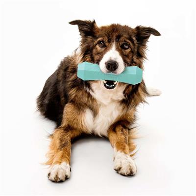 SQUEAKY CHEW STICK PEANUT BUTTER JUMBO