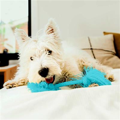 DRI-TECH ROPE PEANUT BUTTER SM