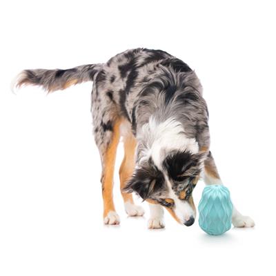 SQUEAKY PINECONE PEANUT BUTTER - JUMBO