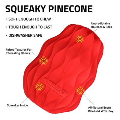 SQUEAKY PINECONE BEEF - JUMBO