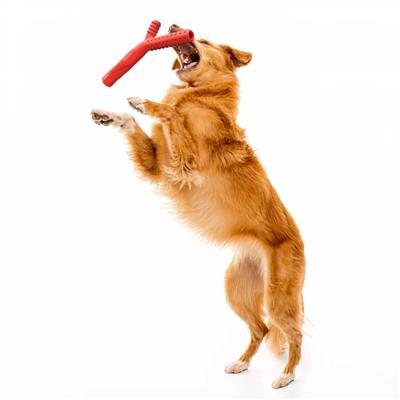 FETCH STICK BEEF - JUMBO