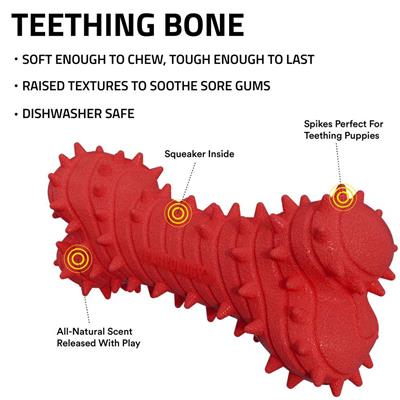 TEETHING BONE BEEF JUMBO
