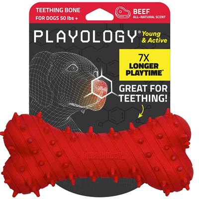 TEETHING BONE BEEF JUMBO