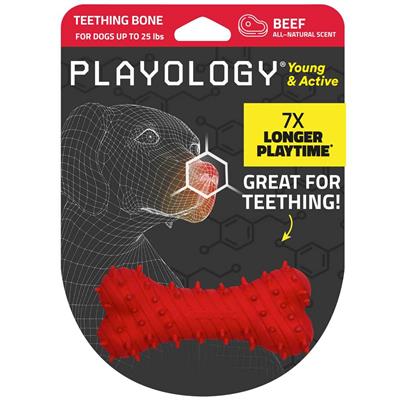 TEETHING BONE BEEF MD