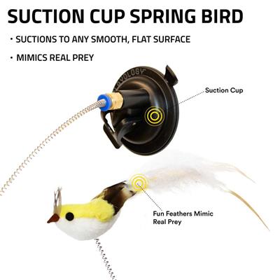 PLAYOLOGY CAT -  SUCTION CUP SPRING BIRD