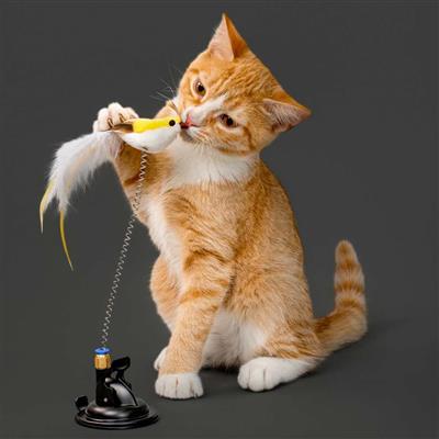 PLAYOLOGY CAT -  SUCTION CUP SPRING BIRD
