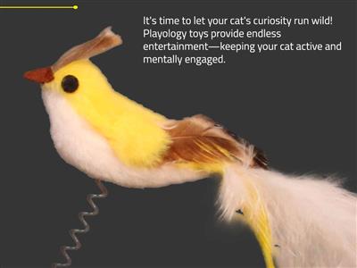 PLAYOLOGY CAT -  SUCTION CUP SPRING BIRD