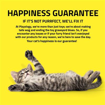 PLAYOLOGY CAT - LIZARDS WITH BUGS - 2-PACK