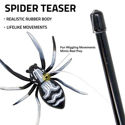 PLAYOLOGY CAT - SPIDER TEASER