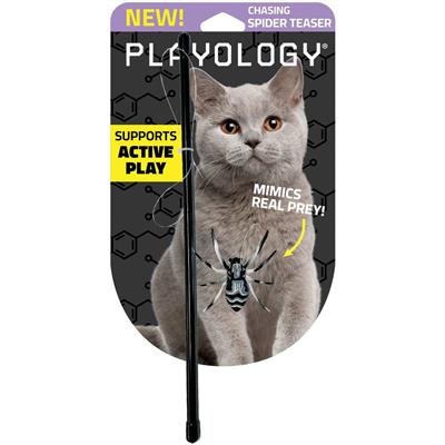 PLAYOLOGY CAT - SPIDER TEASER