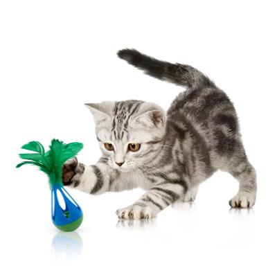 PLAYOLOGY CAT - TEETER TOTTER WITH FEATHER
