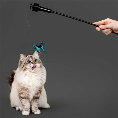 PLAYOLOGY CAT -  MOTORIZED HUMMINGBIRD / BUTTERFLY TEASER