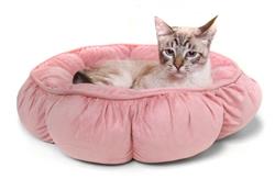 Extra Product Image