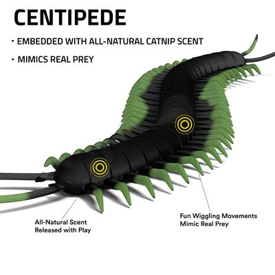 PLAYOLOGY CAT - CENTIPEDE