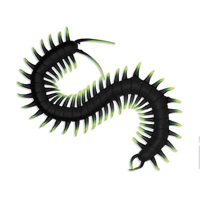 PLAYOLOGY CAT - CENTIPEDE