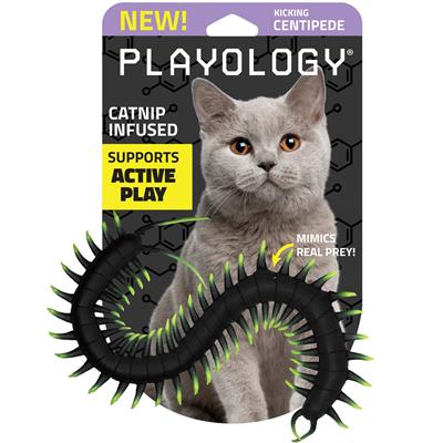 PLAYOLOGY CAT - CENTIPEDE