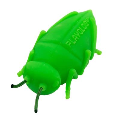 PLAYOLOGY - CAT - CHIRPING GRASSHOPPERS - 2-PACK