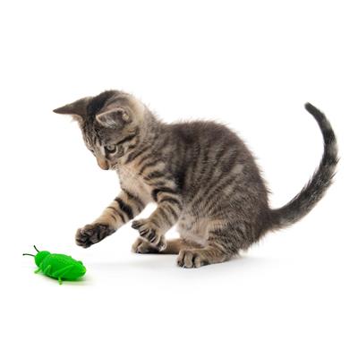 PLAYOLOGY - CAT - CHIRPING GRASSHOPPERS - 2-PACK