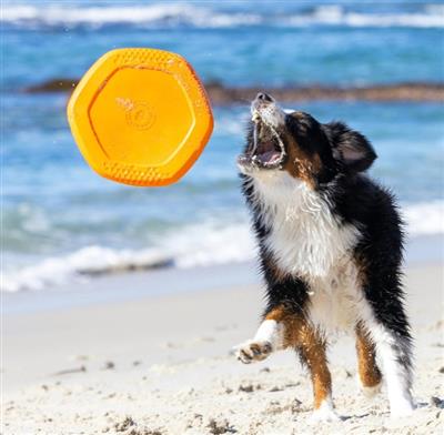 Project Hive Disc/Lickmat Scented Sweet Mango/Orange Large