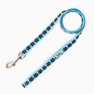 Cat Harness & Leash Set— Kitty