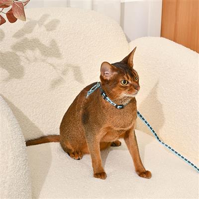 Cat Harness & Leash Set— Kitty