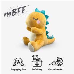 Extra Product Image