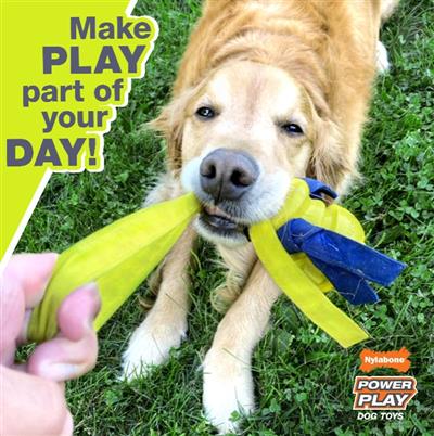 Nylabone Power Play Fling-a-Bounce Interactive Dog Toy 1ea/Medium/Wolf - Up To 35 lb