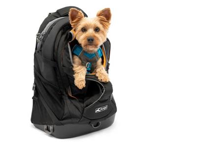 Kurgo Dog G-Train Backpack Black