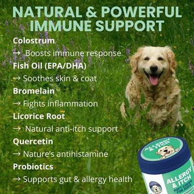 Allergy & Itch Support Chews for Dogs - 60 Soft Chews