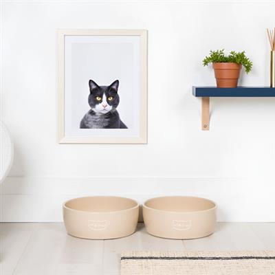 Taupe Meow Cat Bowl, Small