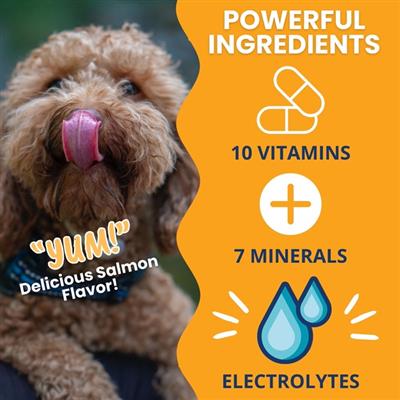 Ready Cal High Calorie Gel for Dogs - 100cc - 3.5oz Squeezable Gel - Electrolytes