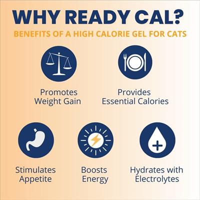 Ready Cal High Calorie Gel for Cats - 100cc - 3.5oz Squeezable Gel - Electrolytes