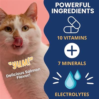 Ready Cal High Calorie Gel for Cats - 100cc - 3.5oz Squeezable Gel - Electrolytes