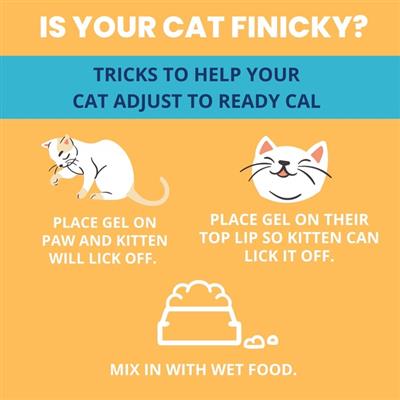 Ready Cal High Calorie Gel for Cats - 100cc - 3.5oz Squeezable Gel - Electrolytes