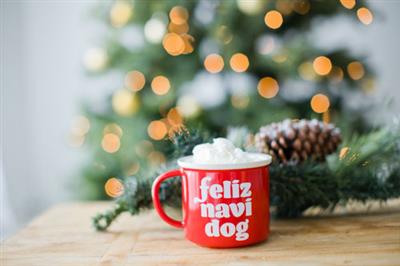 Holiday Feliz Navidog Mug