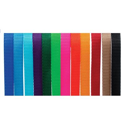 ID Me Take Me Home Collars 12 pk Assorted Colors by Breeder's Edge