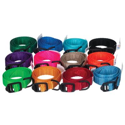 ID Me Take Me Home Collars 12 pk Assorted Colors by Breeder's Edge
