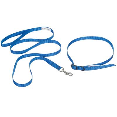 ID Me Take Me Home Leashes and Collars 12pk Assorted Colors by Breeder's Edge