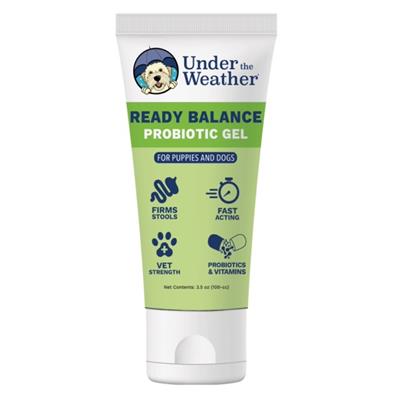 Ready Balance Probiotic Gel for Dogs - 3.5oz - Squeezable