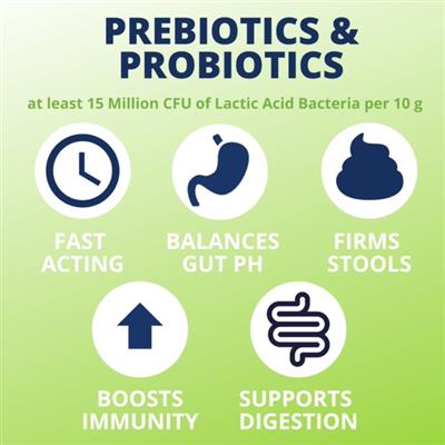 Ready Balance Probiotic Gel for Dogs - 3.5oz - Squeezable