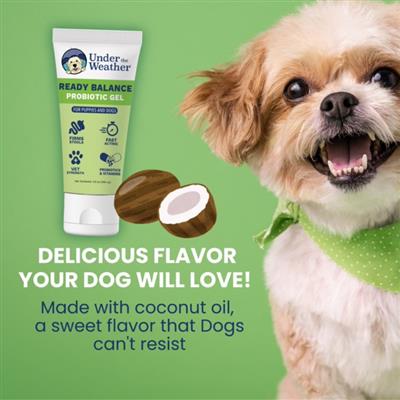 Ready Balance Probiotic Gel for Dogs - 3.5oz - Squeezable