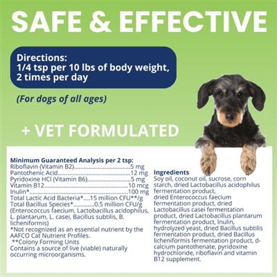 Ready Balance Probiotic Gel for Dogs - 3.5oz - Squeezable